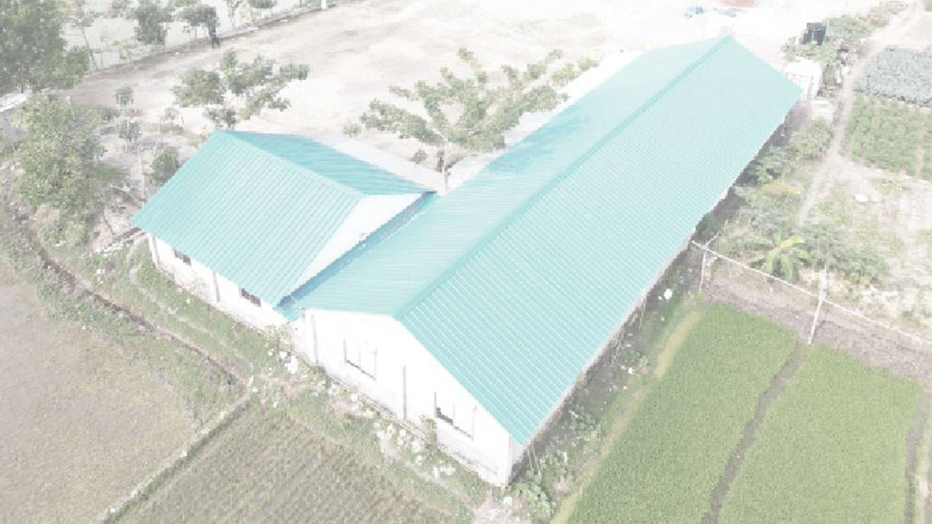 শিক্ষাব্যবস্থার ত্রুটিই জাতি ধ্বংস করছে